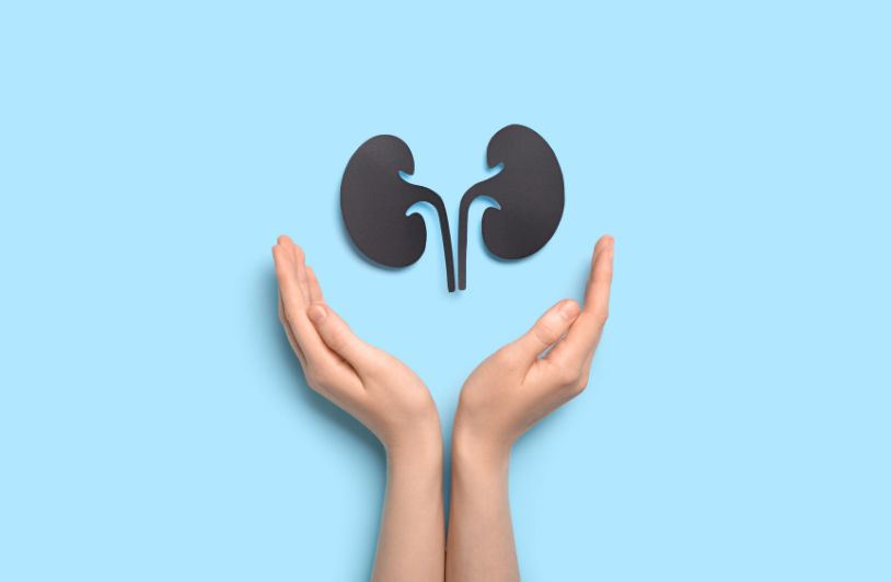 A Specialist Trained in Diseases of the Nephrologists