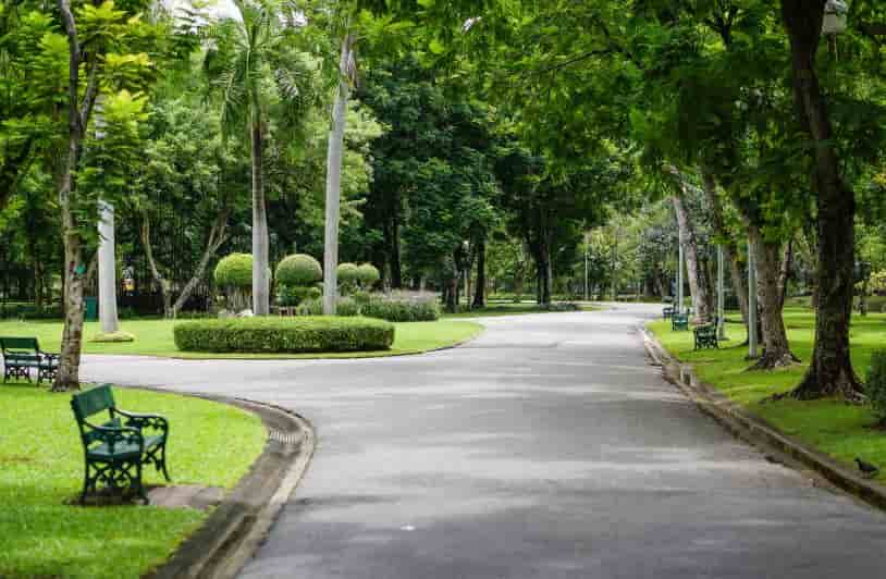 Town Green Park: Your Perfect Getaway for Outdoor Recreation and Fun