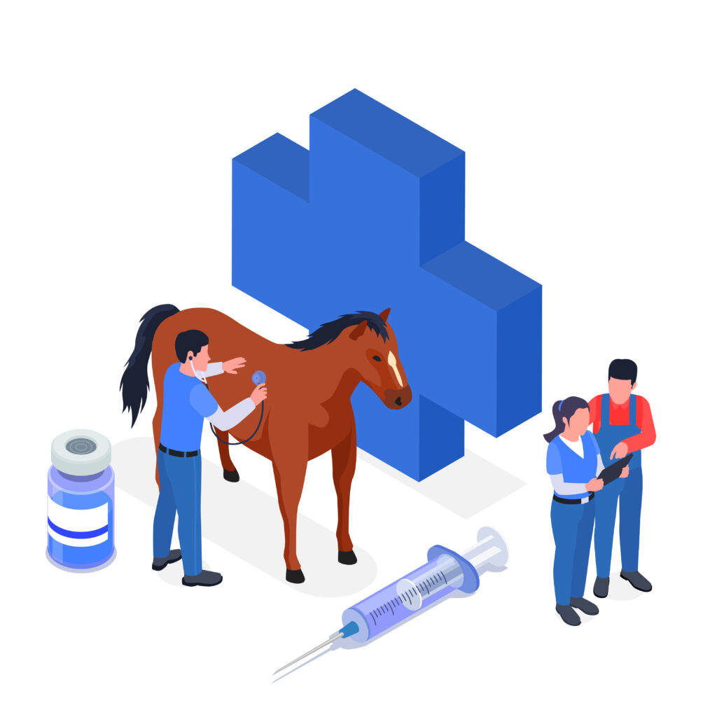 Horse Treatment