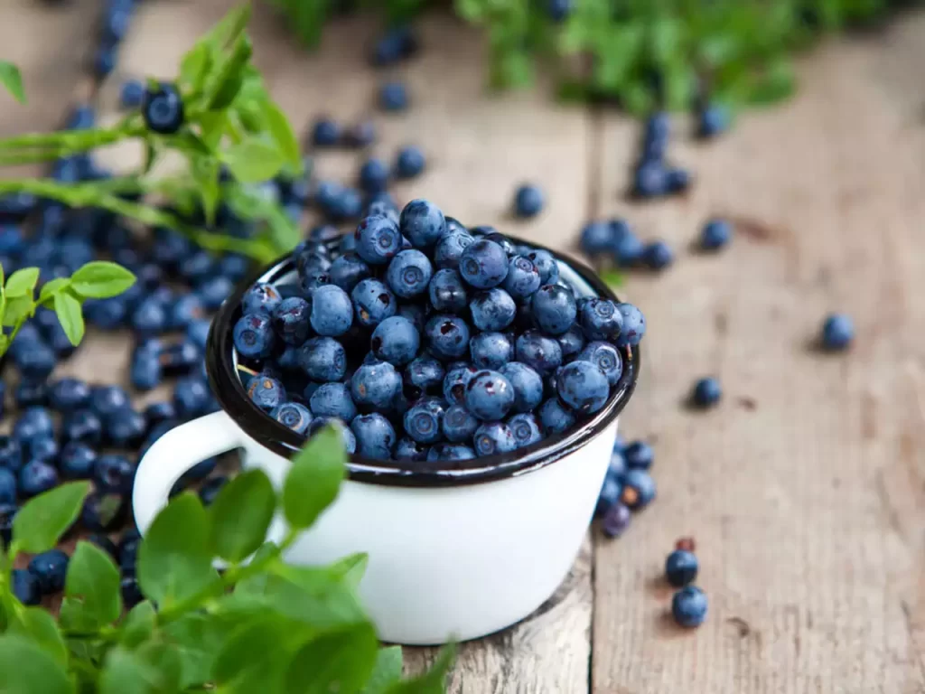 Benefits Of Blueberries For Men’s Health