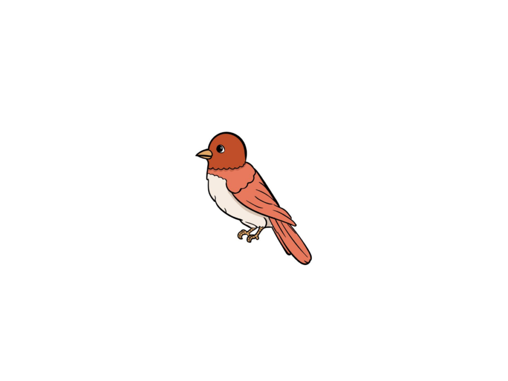 Draw A Bird