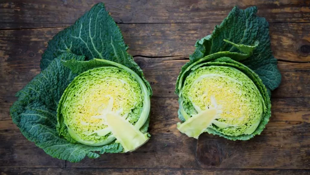 Savoy Cabbage Benefits For Males’ Health