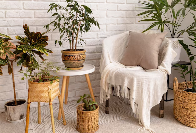 eco friendly furniture interior design with plants