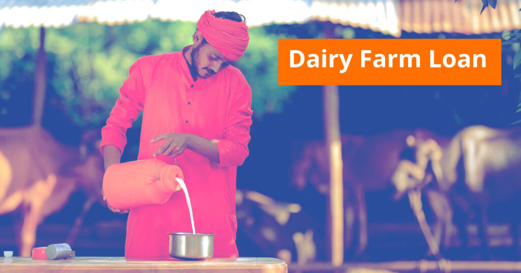 dairy farm loan