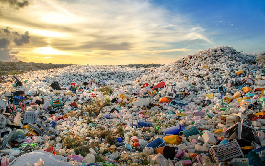 Plastic Pollution Affect