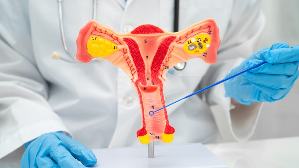 Everyday Habits That Help You Avoid Vaginal Infections Everyday Habits That Help You Avoid Vaginal Infections