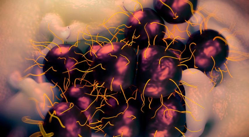 Can You Catch Gonorrhoea Without Having Sex? Can You Catch Gonorrhoea Without Having Sex?